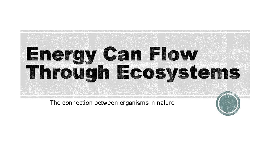 The connection between organisms in nature 