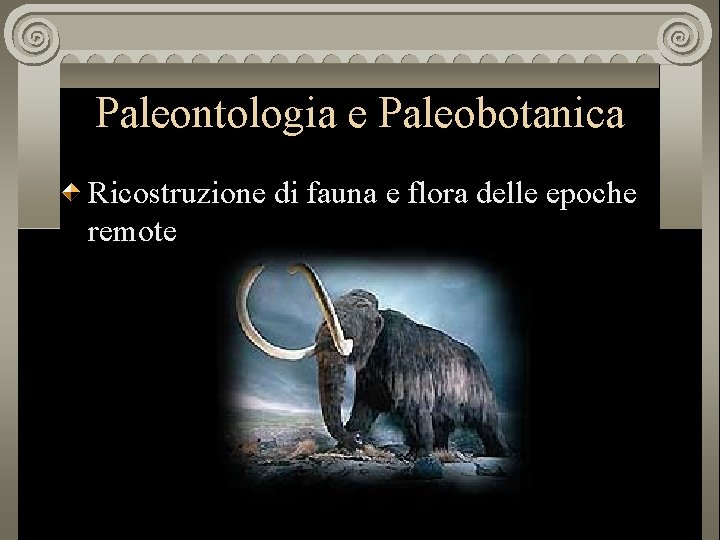 Paleontologia e Paleobotanica Ricostruzione di fauna e flora delle epoche remote 