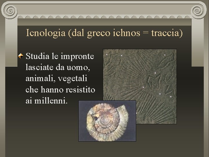 Icnologia (dal greco ichnos = traccia) Studia le impronte lasciate da uomo, animali, vegetali