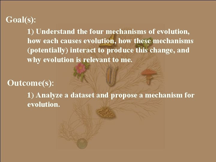 Goal(s): 1) Understand the four mechanisms of evolution, how each causes evolution, how these