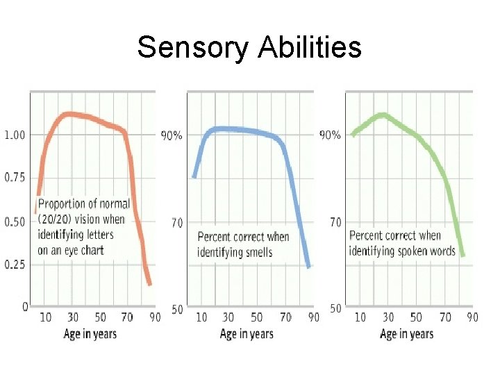 Sensory Abilities 