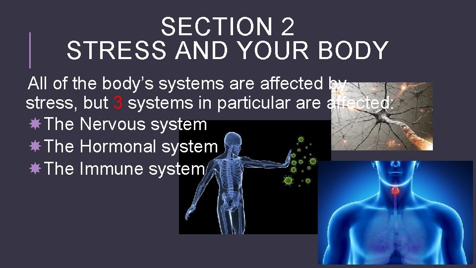 SECTION 2 STRESS AND YOUR BODY All of the body’s systems are affected by