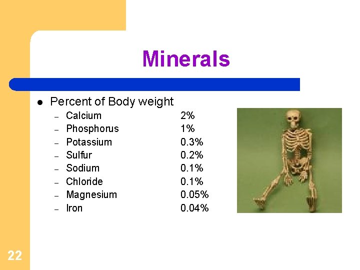 Minerals l Percent of Body weight – – – – 22 Calcium Phosphorus Potassium