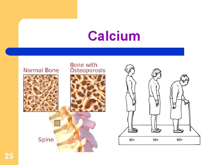 Calcium 25 