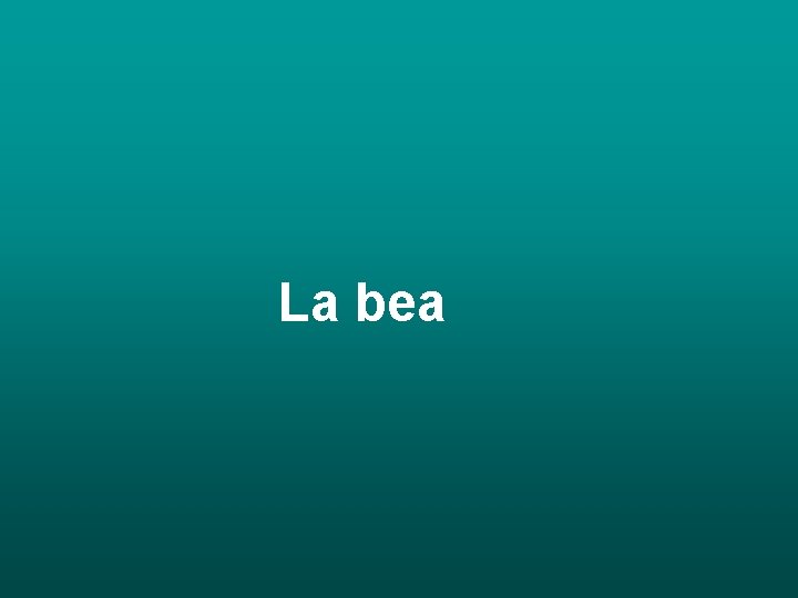 La bea 