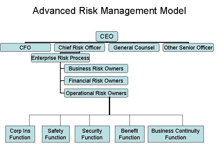 Advanced Risk Management Model CEO CFO Chief Risk Officer General Counsel Other Senior Officer