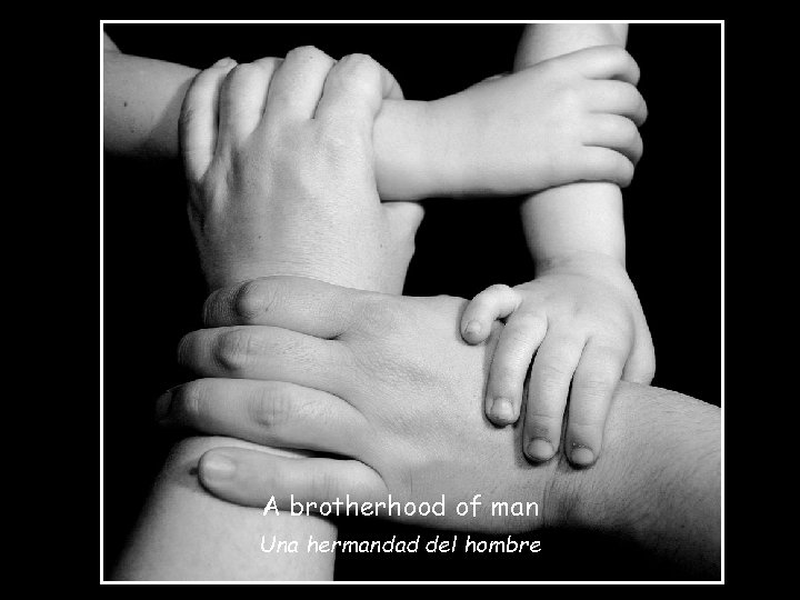 A brotherhood of man Una hermandad del hombre 