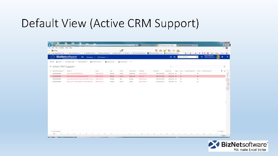 Default View (Active CRM Support) 