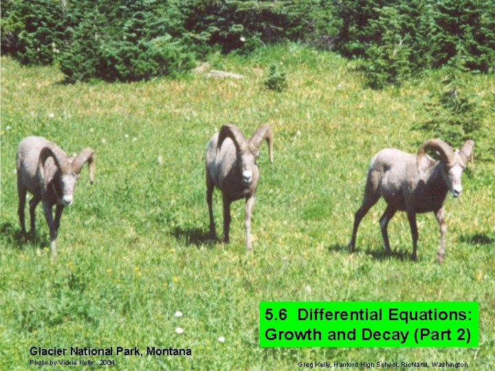 5. 6 Differential Equations: Growth and Decay (Part 2) Glacier National Park, Montana Photo