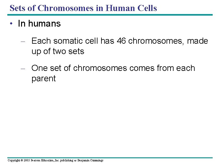 Sets of Chromosomes in Human Cells • In humans – Each somatic cell has