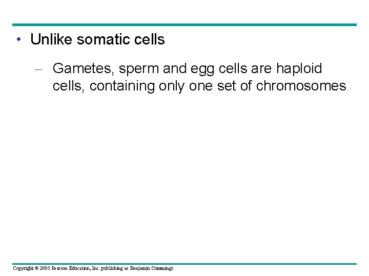  • Unlike somatic cells – Gametes, sperm and egg cells are haploid cells,