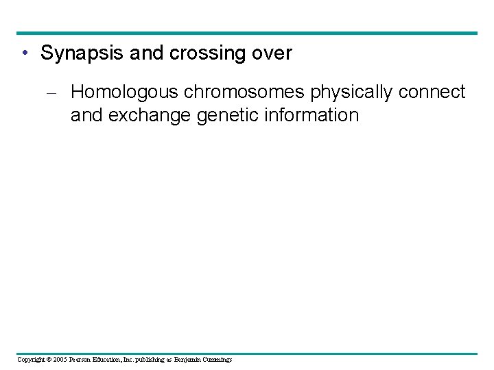  • Synapsis and crossing over – Homologous chromosomes physically connect and exchange genetic