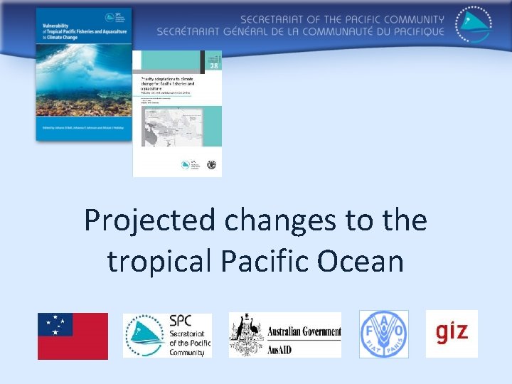Projected changes to the tropical Pacific Ocean 