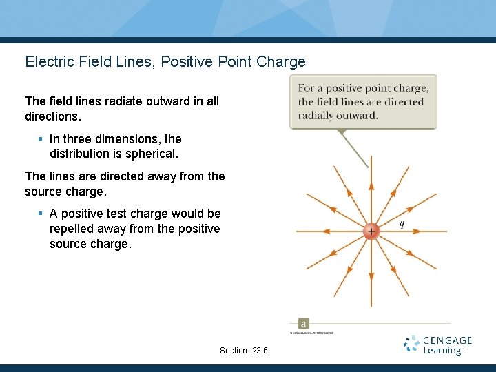 Electric Field Lines, Positive Point Charge The field lines radiate outward in all directions.