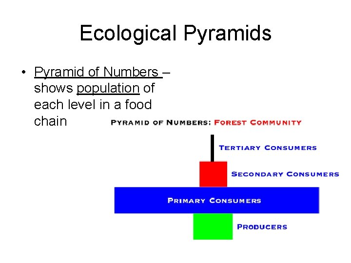 Ecological Pyramids • Pyramid of Numbers – shows population of each level in a