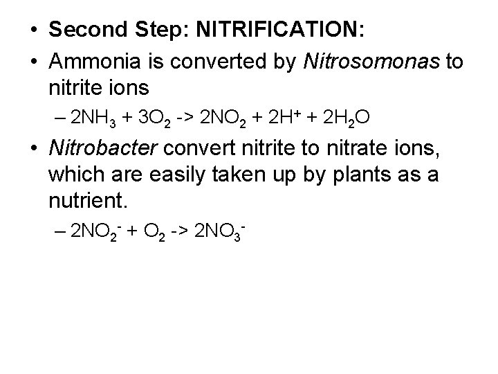  • Second Step: NITRIFICATION: • Ammonia is converted by Nitrosomonas to nitrite ions