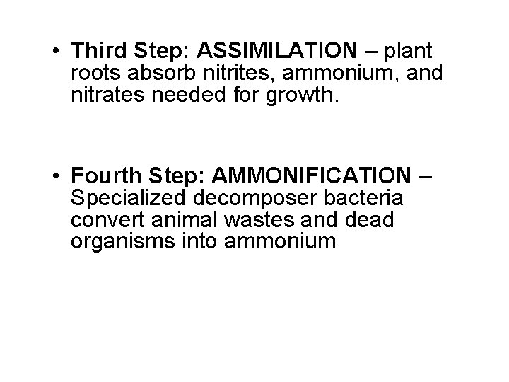  • Third Step: ASSIMILATION – plant roots absorb nitrites, ammonium, and nitrates needed