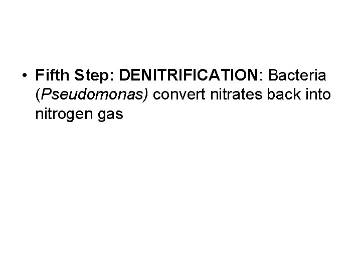  • Fifth Step: DENITRIFICATION: Bacteria (Pseudomonas) convert nitrates back into nitrogen gas 