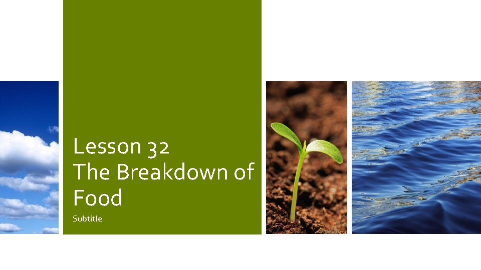 Lesson 32 The Breakdown of Food Subtitle 