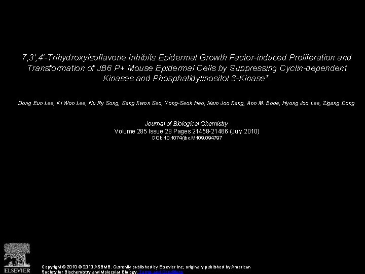 7, 3′, 4′-Trihydroxyisoflavone Inhibits Epidermal Growth Factor-induced Proliferation and Transformation of JB 6 P+