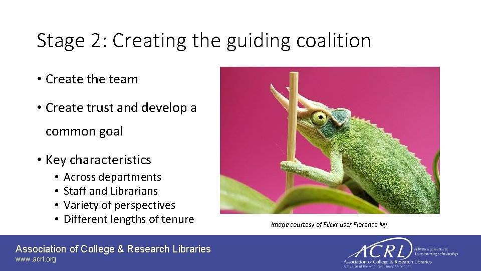 Stage 2: Creating the guiding coalition • Create the team • Create trust and
