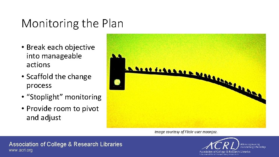 Monitoring the Plan • Break each objective into manageable actions • Scaffold the change