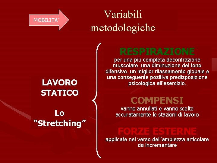 MOBILITA’ Variabili metodologiche RESPIRAZIONE LAVORO STATICO Lo “Stretching” per una più completa decontrazione muscolare,