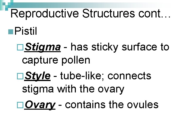 Reproductive Structures cont… n Pistil ¨Stigma - has sticky surface to capture pollen ¨Style