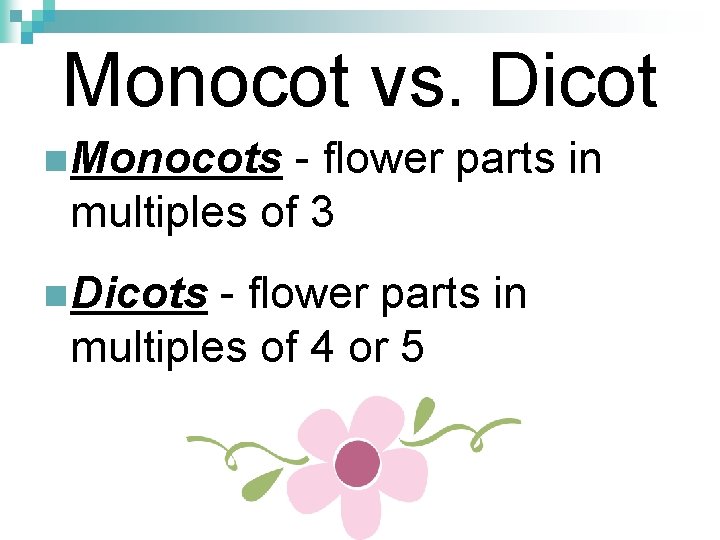Monocot vs. Dicot n Monocots - flower parts in multiples of 3 n Dicots