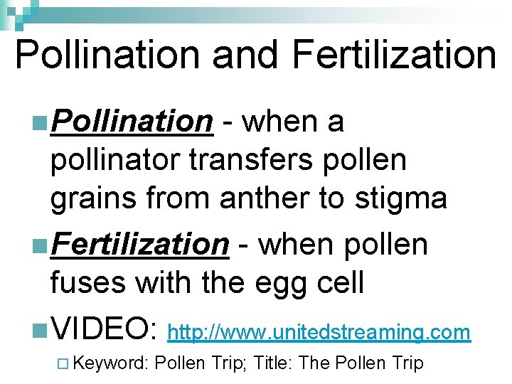 Pollination and Fertilization n Pollination - when a pollinator transfers pollen grains from anther