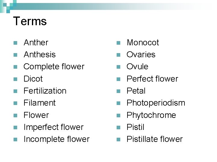 Terms n n n n n Anther Anthesis Complete flower Dicot Fertilization Filament Flower