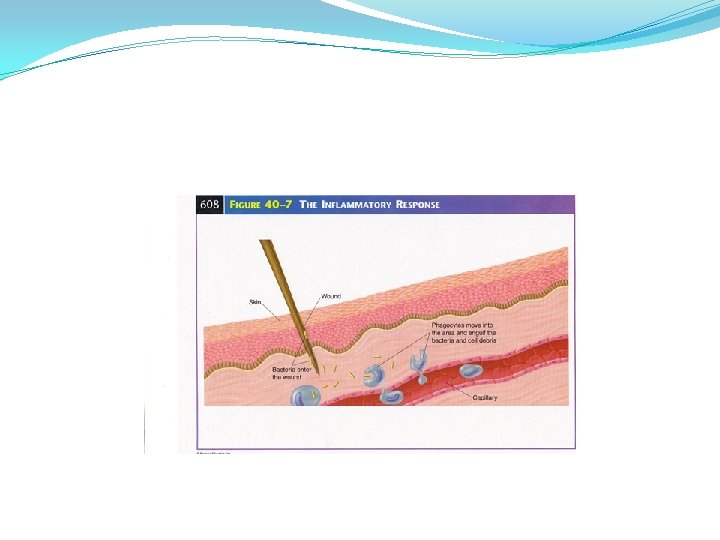 CHAPTER 40 THE IMMUNE SYSTEM AND DISEASE 40