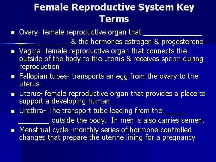 Female Reproductive System Key Terms n n n Ovary- female reproductive organ that ________&