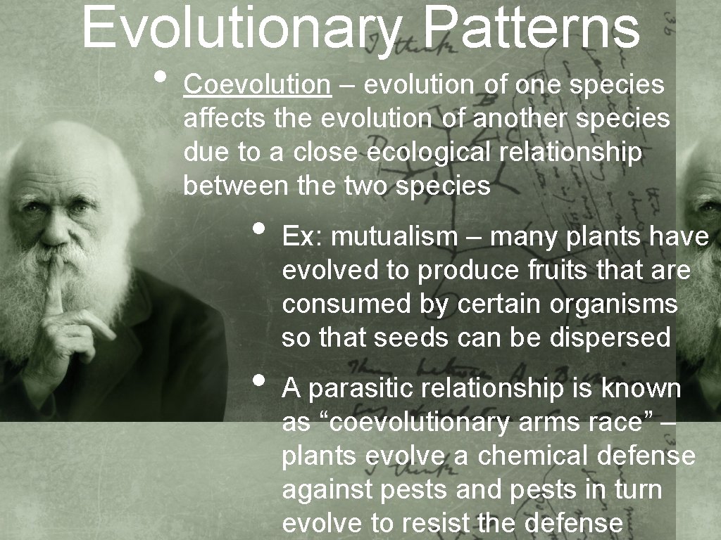 Evolutionary Patterns • Coevolution – evolution of one species affects the evolution of another