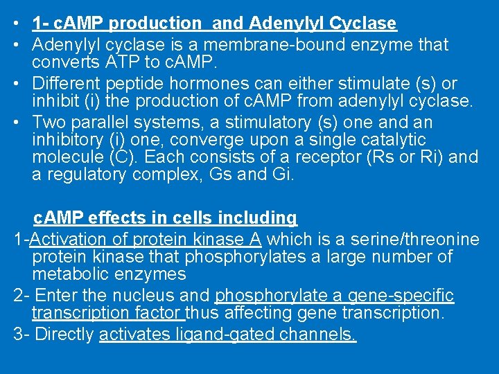  • 1 - c. AMP production and Adenylyl Cyclase • Adenylyl cyclase is