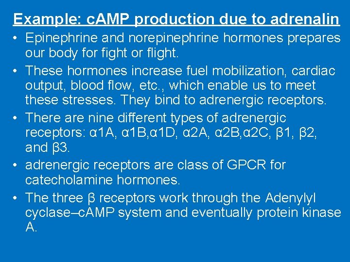 Example: c. AMP production due to adrenalin • Epinephrine and norepinephrine hormones prepares our
