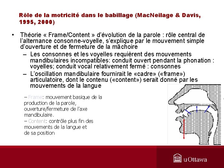 Rôle de la motricité dans le babillage (Mac. Neilage & Davis, 1995, 2000) •