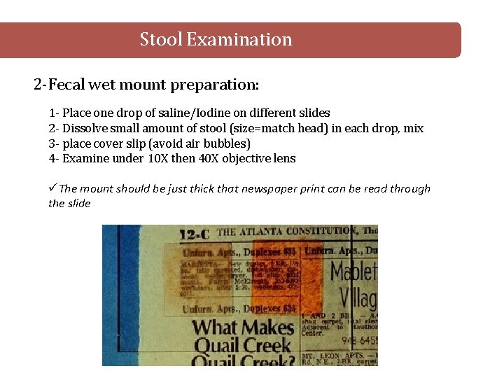 Stool Examination 2 -Fecal wet mount preparation: 1 - Place one drop of saline/Iodine