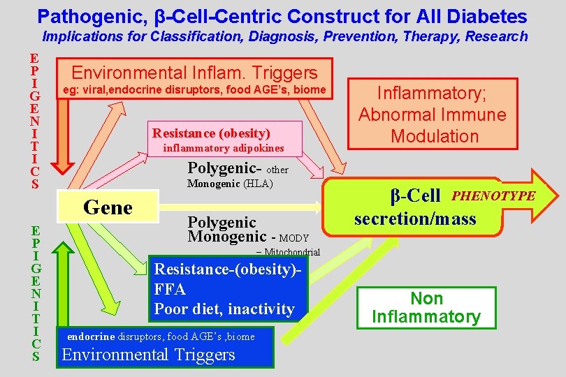 Pathogenic, β-Cell-Centric Construct for All Diabetes Implications for Classification, Diagnosis, Prevention, Therapy, Research E