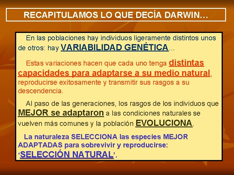 RECAPITULAMOS LO QUE DECÍA DARWIN… En las poblaciones hay individuos ligeramente distintos unos de