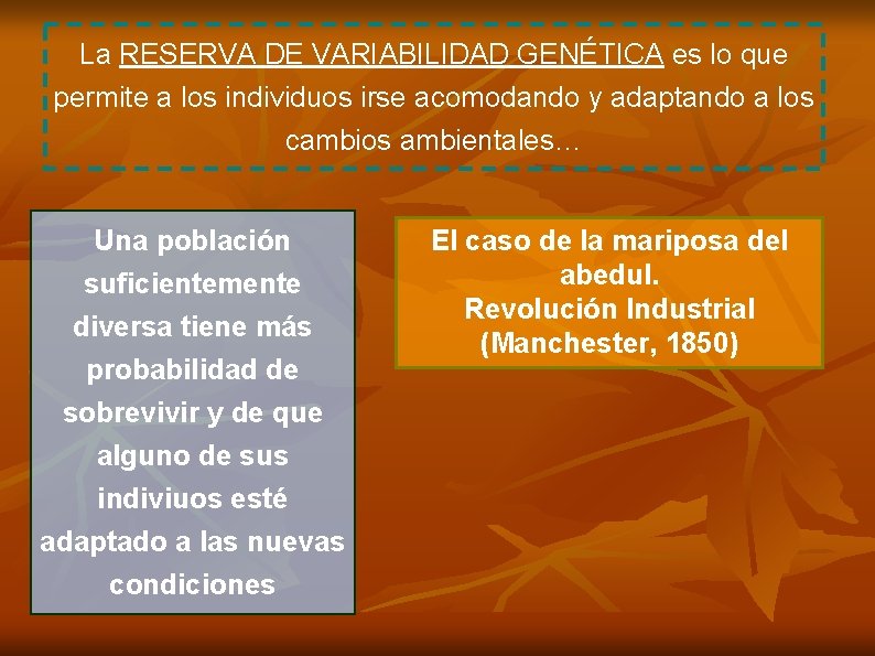 La RESERVA DE VARIABILIDAD GENÉTICA es lo que permite a los individuos irse acomodando