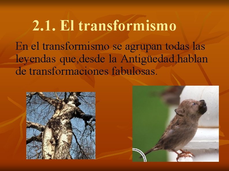 2. 1. El transformismo En el transformismo se agrupan todas leyendas que, desde la