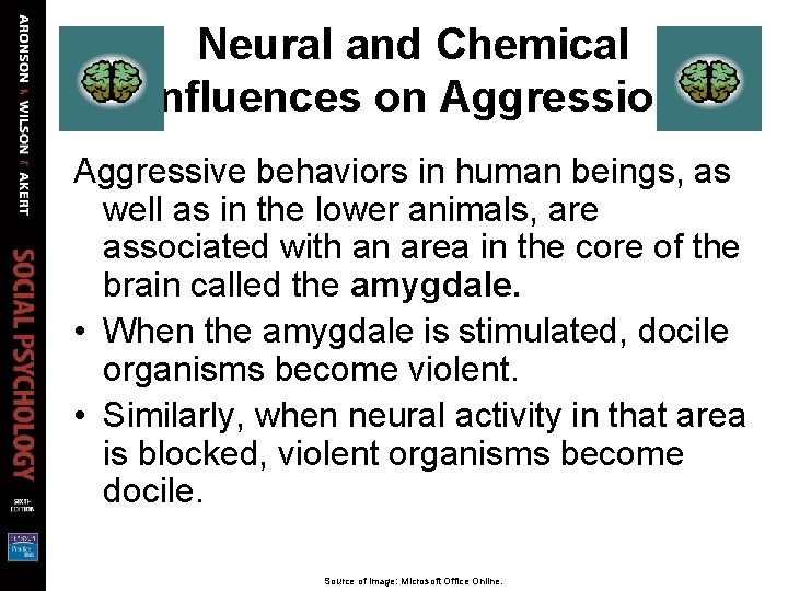 Neural and Chemical Influences on Aggressive behaviors in human beings, as well as in