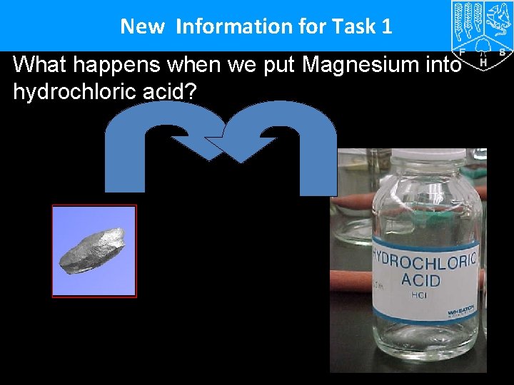 New Information for Task 1 What happens when we put Magnesium into hydrochloric acid?