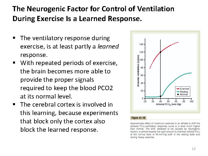 The Neurogenic Factor for Control of Ventilation During Exercise Is a Learned Response. § The Neurogenic Factor for Control of Ventilation During Exercise Is a Learned Response. §