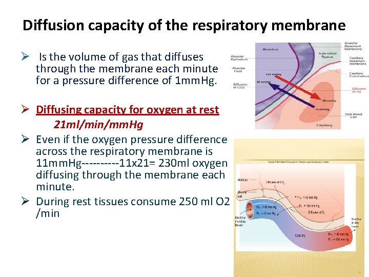 Diffusion capacity of the respiratory membrane Ø Is the volume of gas that diffuses Diffusion capacity of the respiratory membrane Ø Is the volume of gas that diffuses
