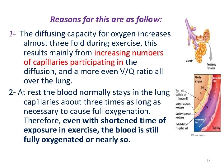 Reasons for this are as follow: 1 - The diffusing capacity for oxygen increases Reasons for this are as follow: 1 - The diffusing capacity for oxygen increases