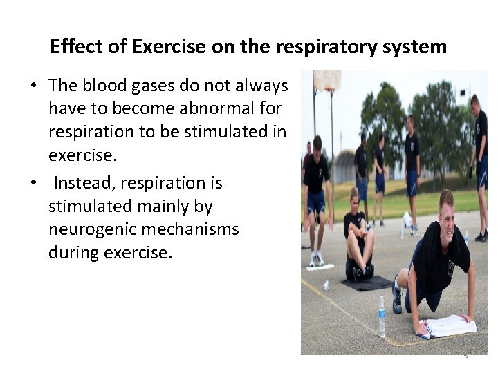 Effect of Exercise on the respiratory system • The blood gases do not always Effect of Exercise on the respiratory system • The blood gases do not always