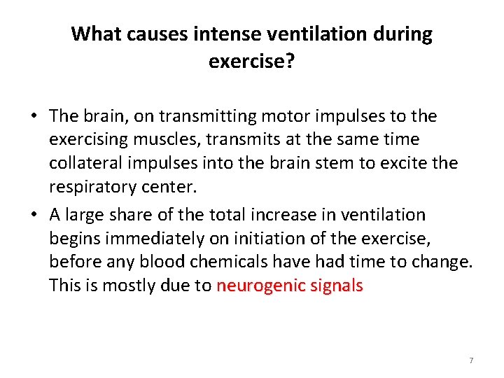 What causes intense ventilation during exercise? • The brain, on transmitting motor impulses to What causes intense ventilation during exercise? • The brain, on transmitting motor impulses to