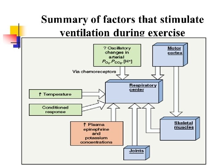 Dr. Aida Korish ( iaidakorish@yahoo. com) 8 Dr. Aida Korish ( iaidakorish@yahoo. com) 8